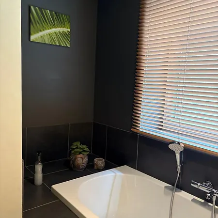 Coconne Apartamento *